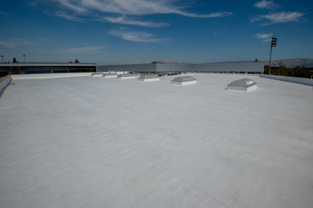 Best Asphalt Shingle Roofing  in Ferndale, PA
