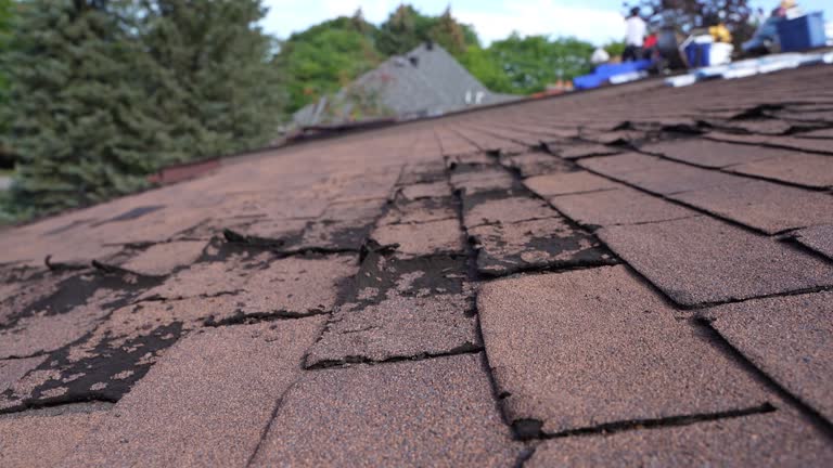 Best Gutter Installation and Repair  in Ferndale, PA